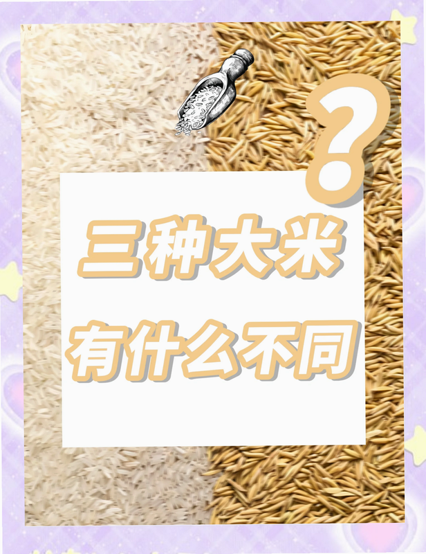 大米看家 常见问题 安卓版