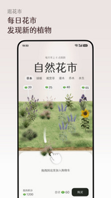 芳圃Floravale 安卓版 功能亮点表格 截图