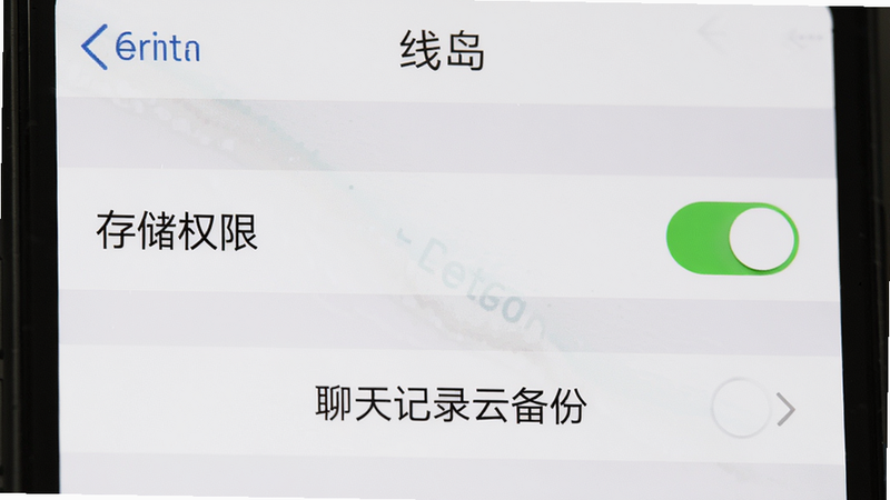 主体:手机屏幕上显示线岛的设置页面,其中“存储权限”开关处于开启状态,下方有“聊天记录云备份”按钮,布局为列表式,风格为系统设置界面,细节包括开关滑块为绿色,画质清晰,无多余元素,alt属性:线岛设置页面截图