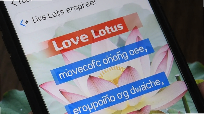 手机屏幕上显示Love Lotus使用指南界面,有红色和蓝色高亮文字提示,背景为莲花图案,画面清晰,重点突出