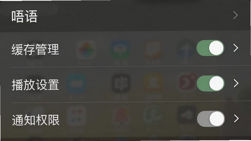 主体:唔语设置界面,布局:列表显示“缓存管理、播放设置、通知权限”,排版:清晰有序,风格:系统设置风格,细节:每个选项右侧有开关或箭头,画质:干净无杂边