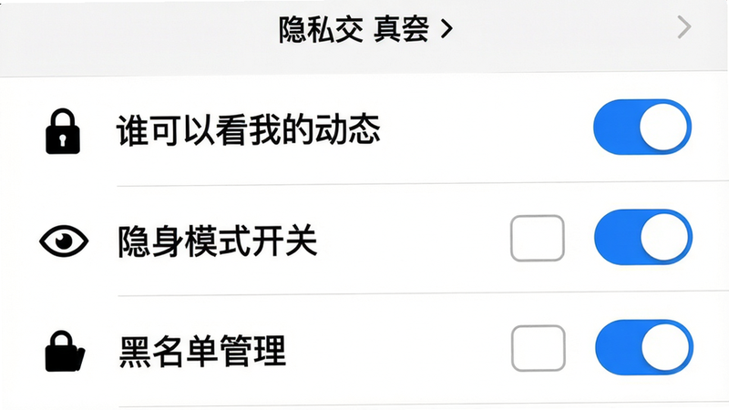 主体:知音交友的隐私设置页面,展示“谁可以看我的动态”、“隐身模式开关”、“黑名单管理”等选项。布局:列表形式,每个选项右侧有开关按钮或选择框。风格:系统设置风格,白底黑字,蓝色高亮开关。细节:隐私选项图标用锁形、眼睛等符号。画质:干净简洁,无多余元素。