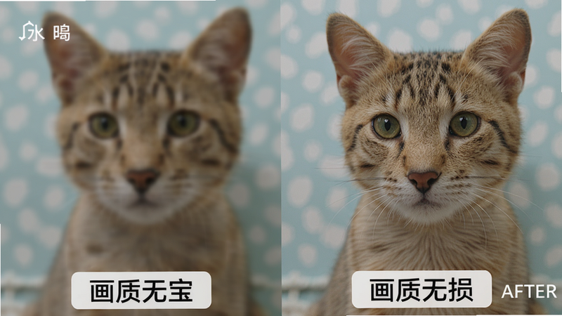 水印宝处理前后画质对比,左侧为带水印的模糊图片,右侧为去除水印后的高清图片,细节清晰,色彩自然,底部显示'画质无损'标签,风格真实,画质极高。