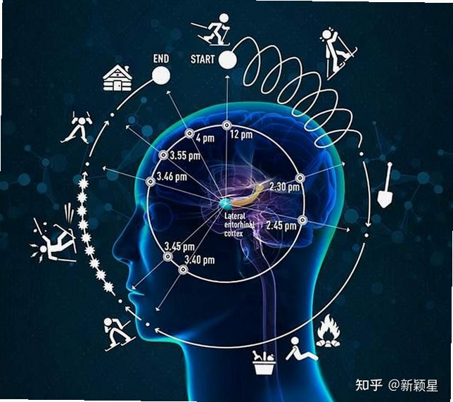 记忆力 安卓版 训练方法 恢复记忆力
