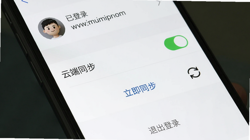 手机屏幕截图,显示多多便签的设置页面,其中“云端同步”选项处于开启状态,下方有一个“立即同步”按钮,按钮旁有一个旋转的同步图标。页面顶部显示已登录的账号头像和邮箱,背景为白色,底部有“退出登录”小字,整体界面规范专业,画质高清。