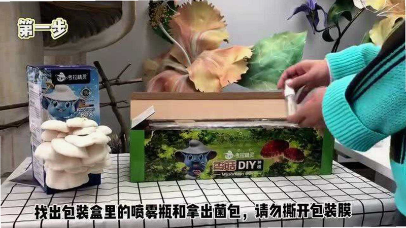 蘑菇盒子 种植方法 安卓版