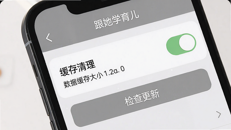 手机屏幕展示
