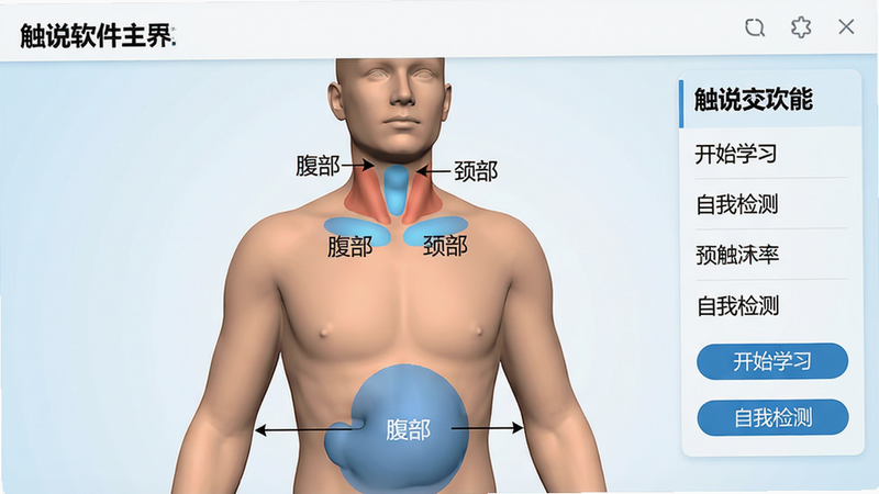 主体:触说软件主界面,展示3D人体模型与触诊区域标注;布局:居中显示人体半身像,右侧有功能菜单列表;排版:清晰简洁,字体为无衬线体,标题加粗;风格:医学教育风,背景浅蓝白色渐变,干净;细节:人体模型上标有“腹部”“颈部”等触诊区域,按钮文字为“开始学习”“自我检测”;画质:超高清,无多余元素