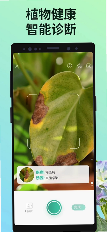 PictureThis植物识别 安卓版 操作步骤