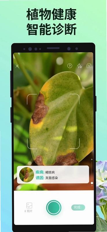PictureThis植物识别截图0