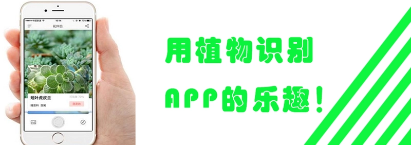 PictureThis植物识别截图4