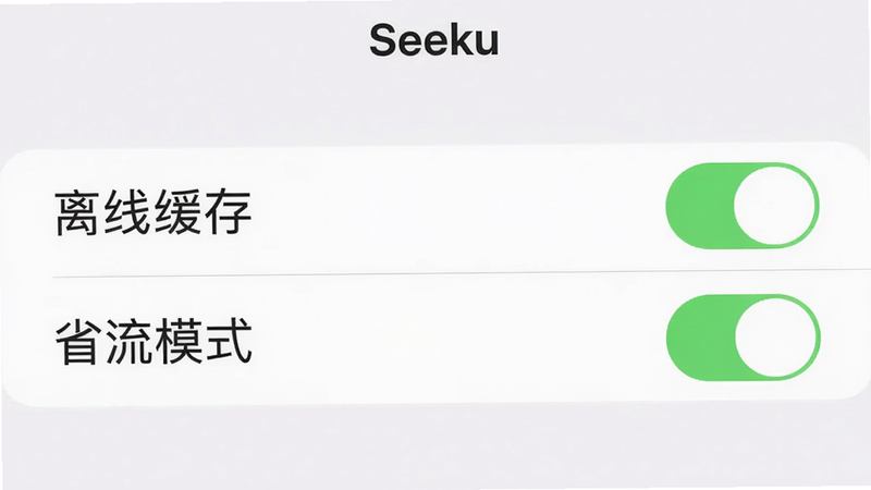 主体:Seeku的设置界面,布局:列表形式展示“离线缓存”“省流模式”两个开关,排版:iOS风格开关按钮,风格:简洁白底灰字,细节:开关按钮为绿色开启状态,画质:高清,干净。