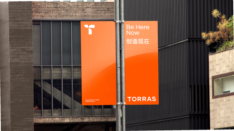 TORRAS安卓版使用说明图片