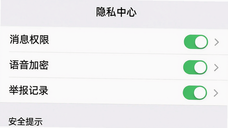 主体:缤纷派对隐私设置界面,列表显示“消息权限”、“语音加密”、“举报记录”等选项,每个选项右侧有开关或箭头;布局:列表式上下排列,背景纯白;排版:文字左对齐,开关在右,字体大小一致;风格:系统设置风格,简洁清晰;细节:顶部有“隐私中心”标题,底部有“安全提示”文字;画质:高对比度,无阴影。