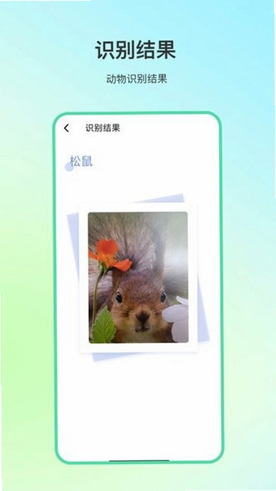 动物百科 安卓版 用户评价