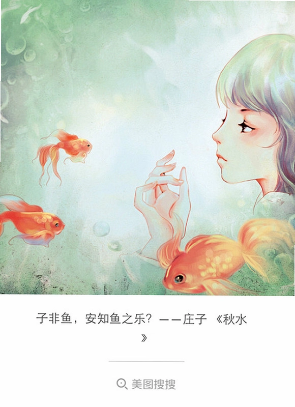 非鱼之乐截图1
