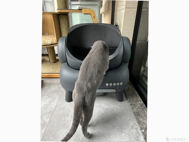 Neakasa 安卓版 猫砂盆 操作说明 界面