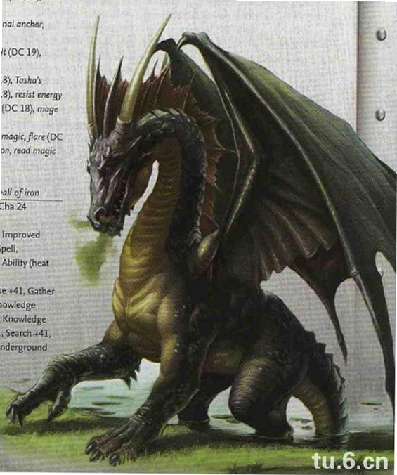 CastleAndDragon 安卓版 巨龙 角色 图鉴