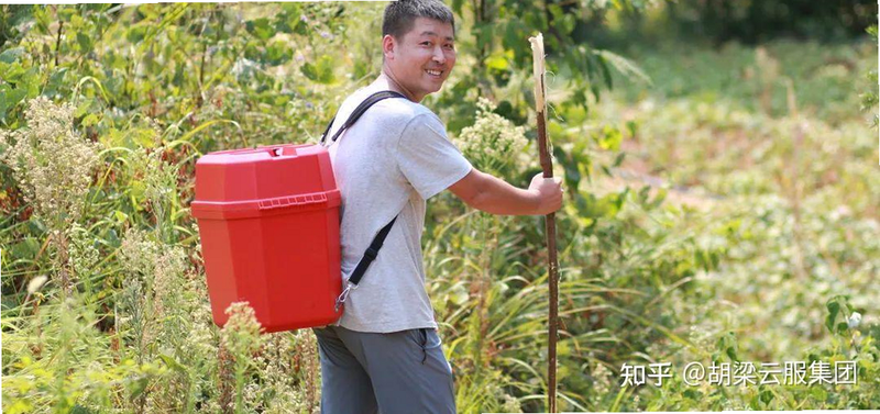 胡梁云服安卓版下载