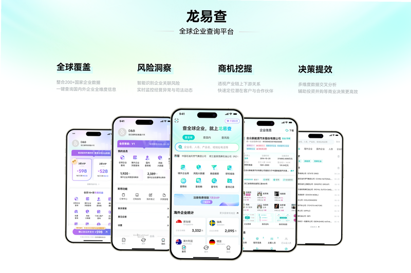 龙易查 安卓版 企业查询界面