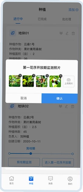 �ҵĿڴ�ũ����ͼ1