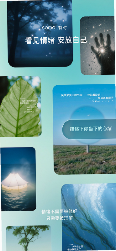 somo有时 安卓版 安全隐私