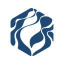 ���ذ�׿�ֻ���v1.0.6 ��׿��