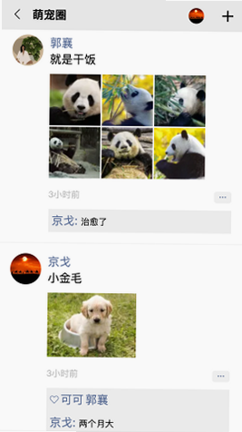 队信 安卓版 界面截图