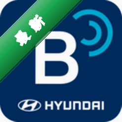 Bluelink5.08 ��������