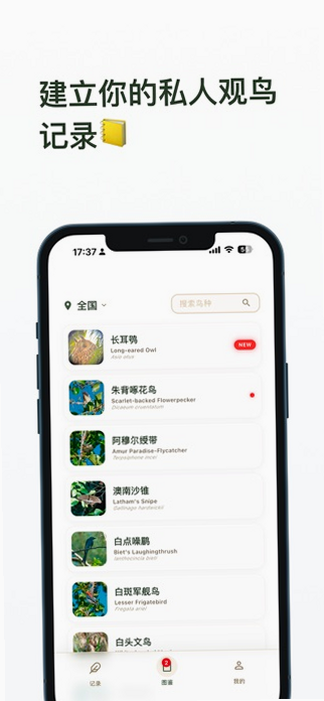 数毛 安卓版 下载 免费