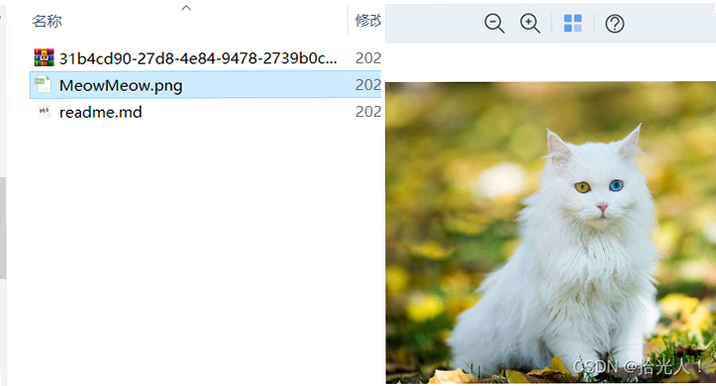 meowMeowWrongQuestion 安卓版 下载