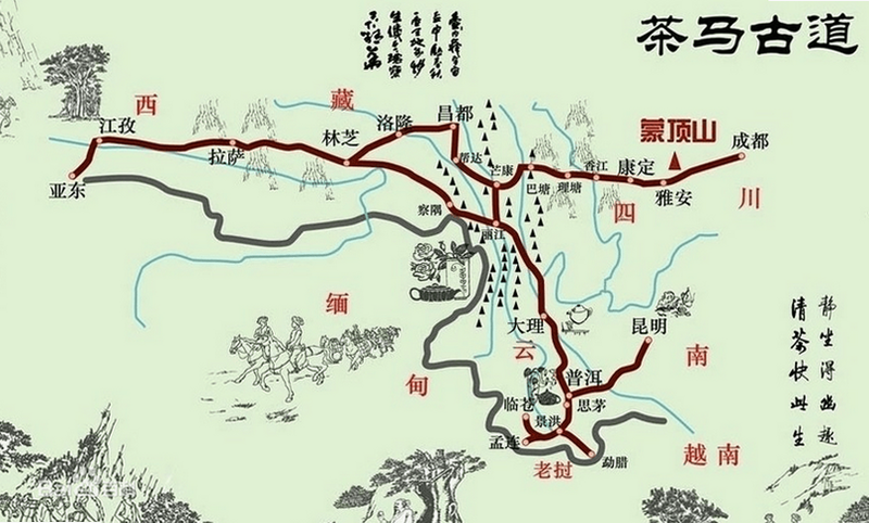 春韵勐海 安卓版 茶山地图