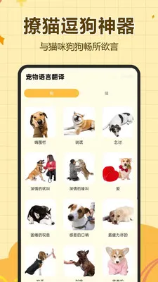 宠物语言翻译截图1