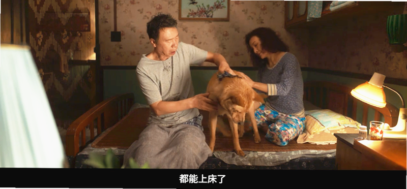 忠犬乐园+ 提现到账 截图