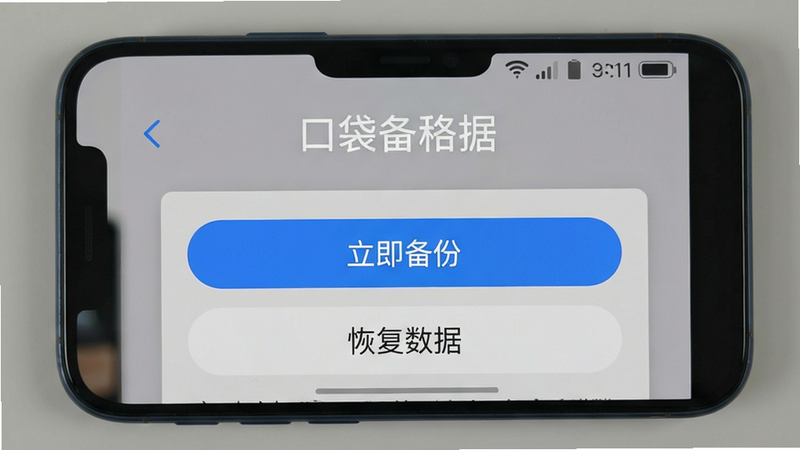 一张手机截图示意,显示口袋存量的数据备份设置页面,页面内有“立即备份”和“恢复数据”两个醒目按钮。背景为简洁的纯色,整体布局聚焦于手机屏幕中心,风格为UI界面展示图,文字清晰可读,画质干净无多余元素。