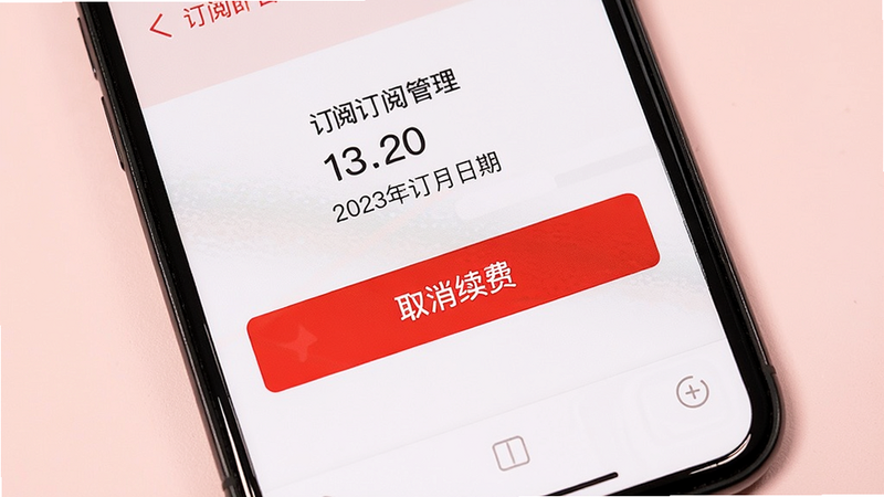主体为手机屏幕显示订阅管理界面,红色按钮标有“取消续费”,背景为浅粉色,布局简洁,风格警示,细节包括订阅到期日期,画质干净,无多余元素。
