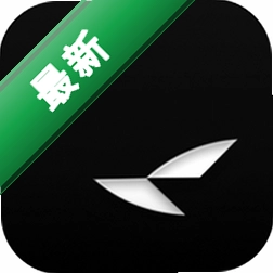 RayNeo AI