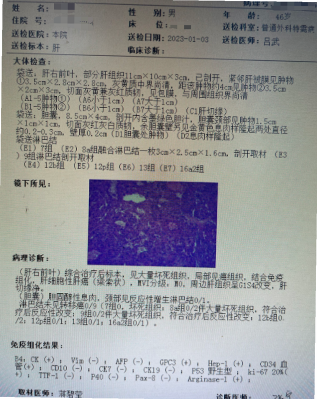 病理日志 打印 安卓版