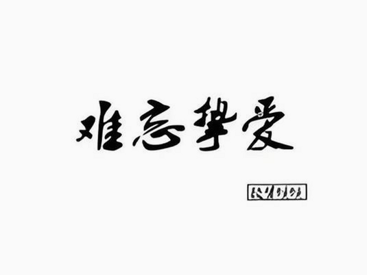 难忘挚爱 安卓版 安全检测