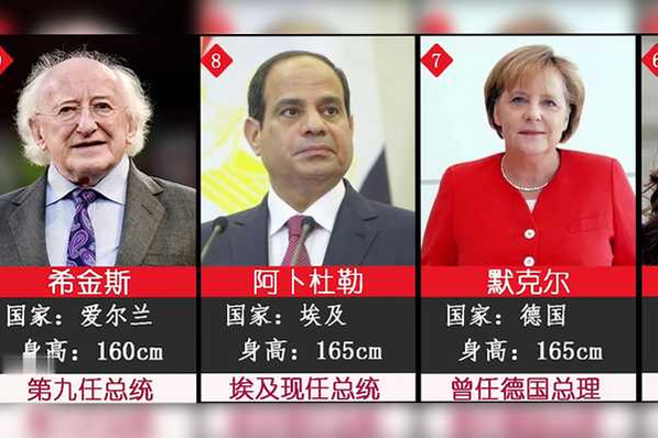 免鸟 安卓版 下载 安全