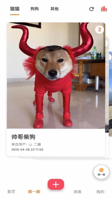 爪爪巴士 安卓版 界面截图