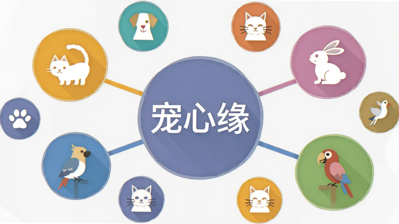 扁平化设计风格,画面主体为多个圆形的彩色“圈子”图标,每个图标内有不同的宠物剪影,如猫、狗、兔子、鹦鹉,中心最大的图标写着“宠心缘”字样,图标之间用线条连接,背景为浅灰色,整体布局错落有致,画质干净,突出多元化社群的概念,画面中文字为“宠心缘”