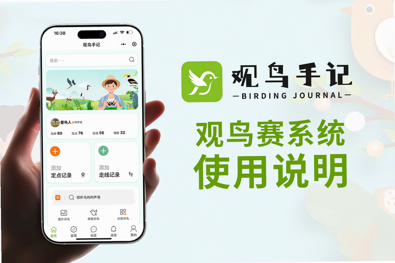 Go Birding 安卓版 观鸟记录功能界面