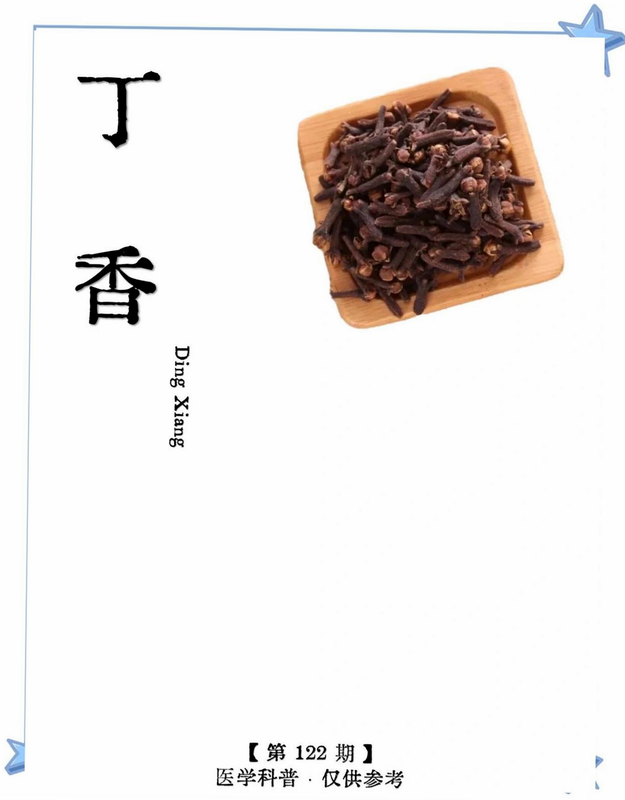 丁香成语 安卓版 使用教程