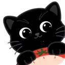Focatv1.3.3 ��Ѱ�