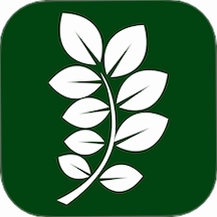 植物的星球截图3