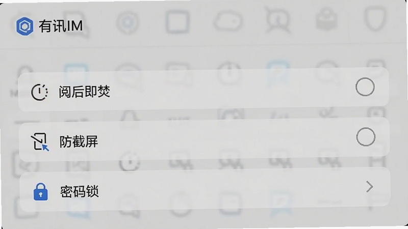 有讯IM设置页面截图,展示“阅后即焚”、“防截屏”、“密码锁”等选项,界面清爽,画质细腻,无多余元素