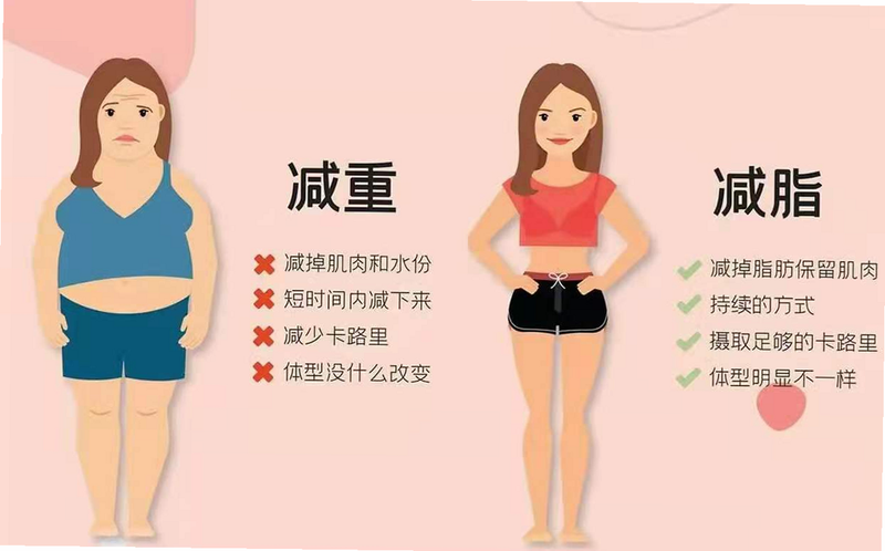 减脂日记 安卓版 用户评价