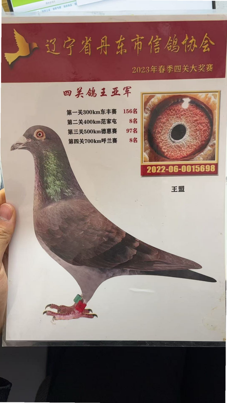 闪讯 安卓版 界面截图