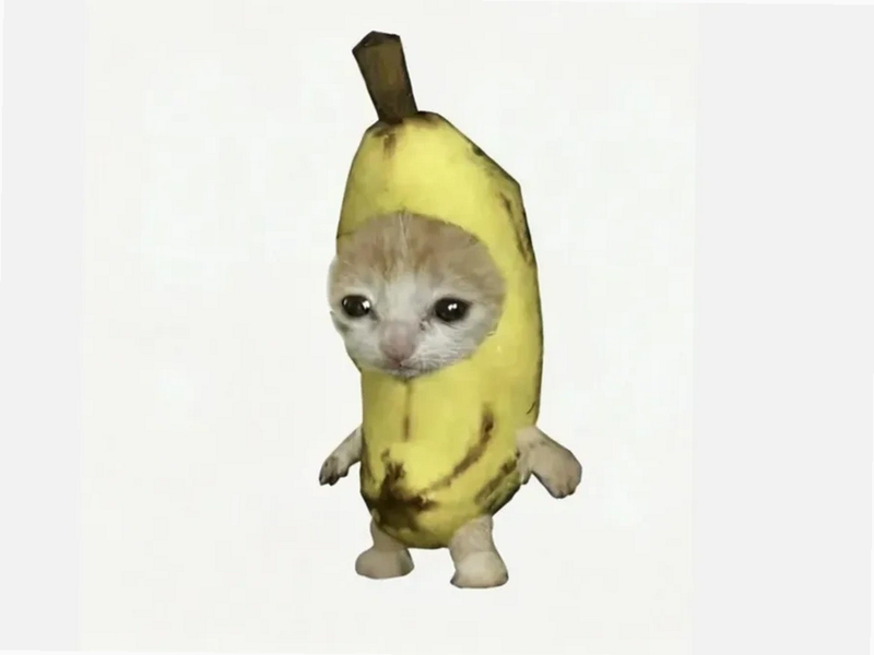 �ȱ����� ����� ��׿��